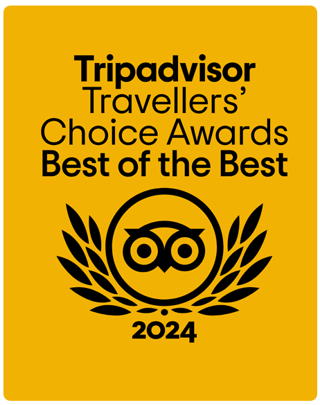 tripadvisor review