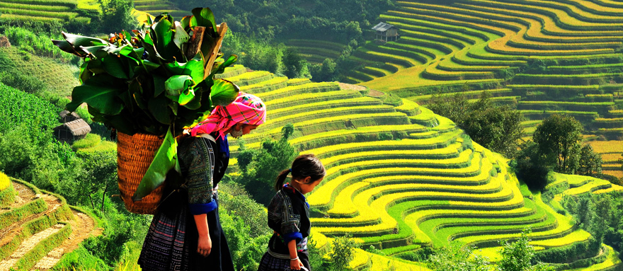 INT-TV-TVCT14 14 Days Vietnam and Thailand Tour with Night Train Experience to Sapa