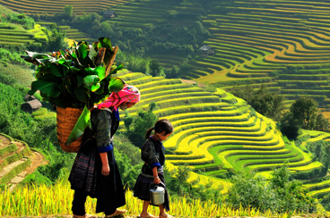 INT-TV-TVCT14 14 Days Vietnam and Thailand Tour with Night Train Experience to Sapa