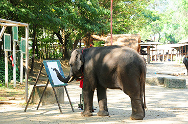 INT-VCLT-VCLTT21 21 Days Vietnam, Cambodia, Laos and Thailand Highlights Tour