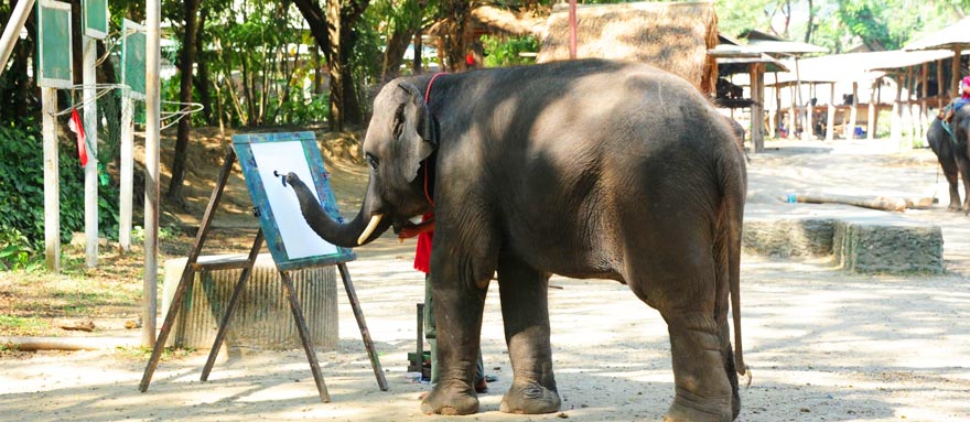 INT-VCLT-VCLTT21 21 Days Vietnam, Cambodia, Laos and Thailand Highlights Tour