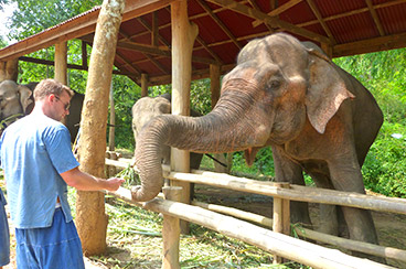 INT-LT-DGT09  9 Days Discover Golden Triangle Tour with Luang Prabang
