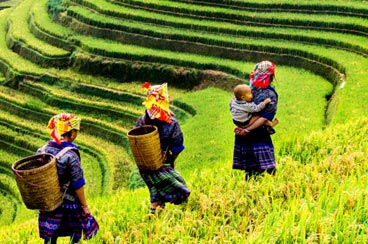 14 Days Vietnam and Cambodia Tour with Sapa Discovery