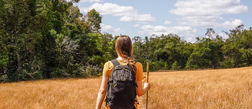 INT-C-PT6 6 Days Mondulkiri Jungle Trekking from Phnom Penh 