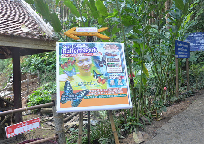 The walkway of Kuang Si Falls