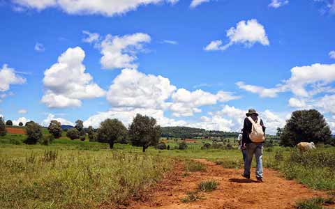 Trek Kalaw to Inle Lake: How to Plan a Kalaw to Inle Lake 2 or 3 Days Trek