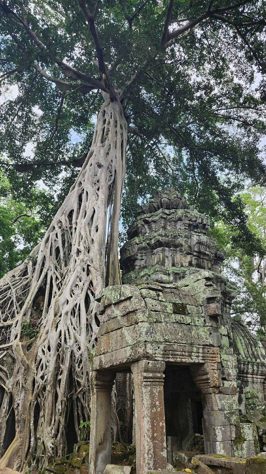 indochina tour