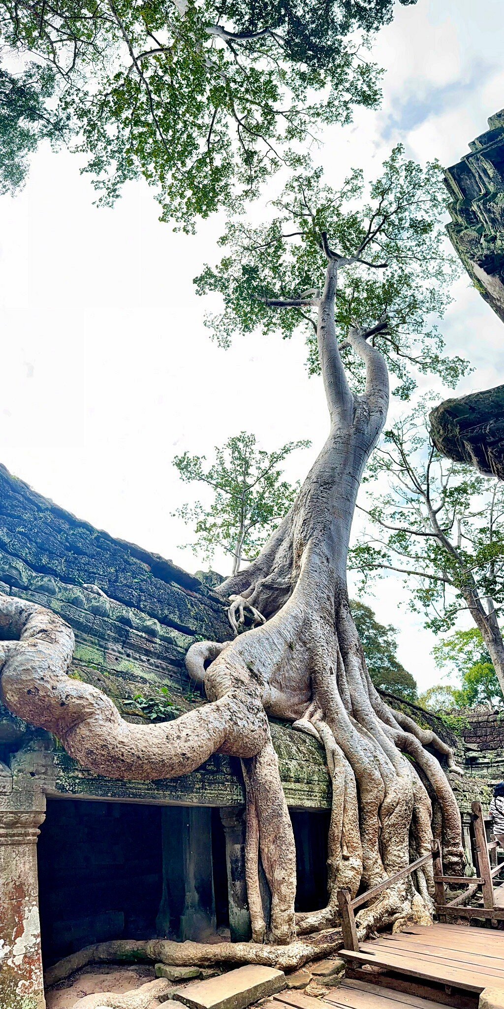 indochina tour