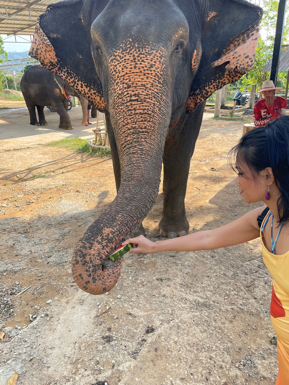 indochina tour