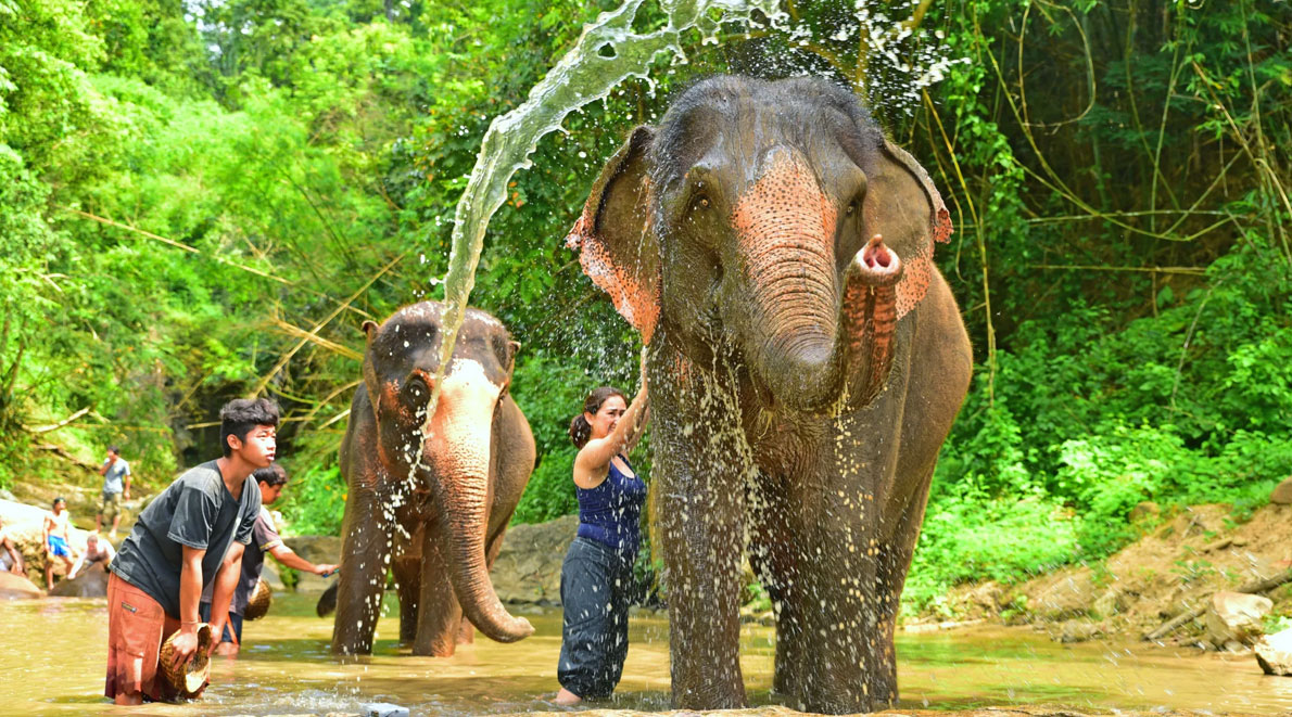 indochinatour-clients