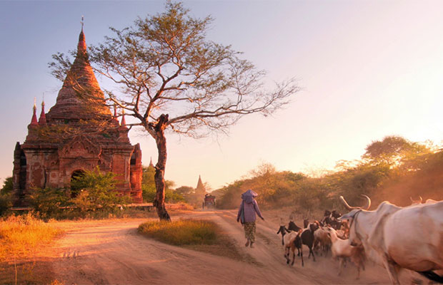 15-days-myanmar-cambodia-vietnam-tour