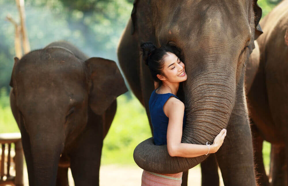 Thailand tour