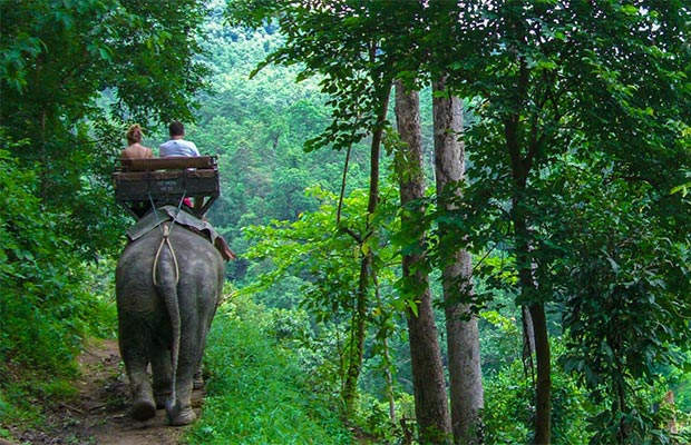 thailand tour