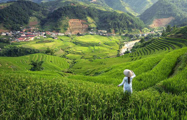 INT-V-NT7 7 Days Northern Vietnam Historical & Natural Tour Package 更新