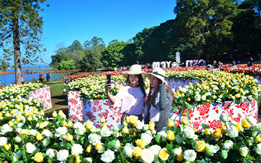 pyin-oo-lwin