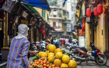 vietnam-local-vendor