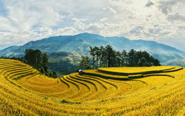 Myanmar Tour