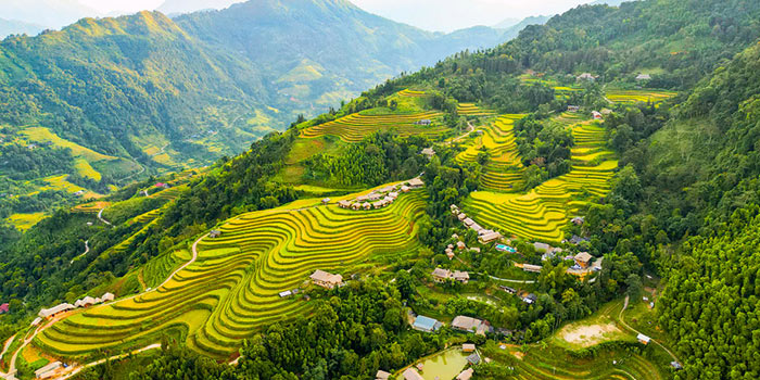 sapa