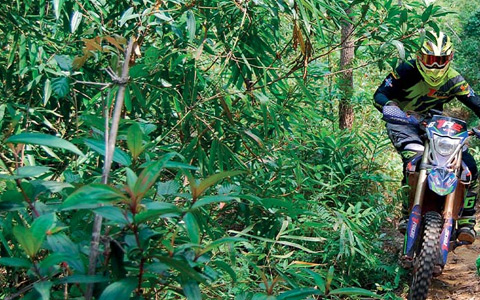 Cambodia Motorbike Tours