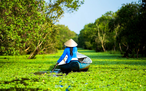 Vietnam or Cambodia tour? Which One to Visit? 