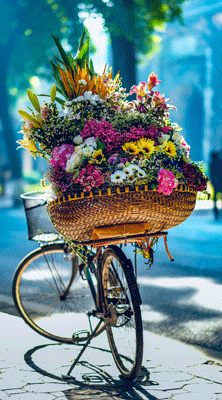 Best Time to Visit Vietnam
