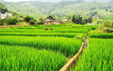Cambodia and Vietnam tours
