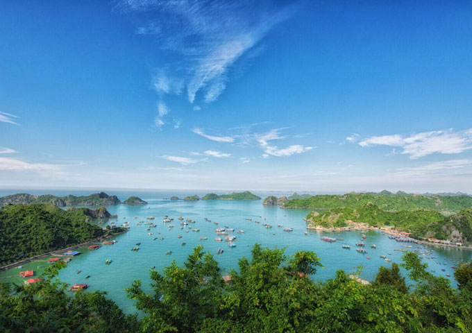 The Cat Ba National Park