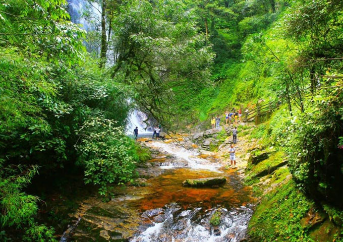 People are hiking in the Phu Quoc National Park.