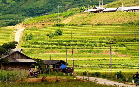 Self SAPA Trekking Guides
