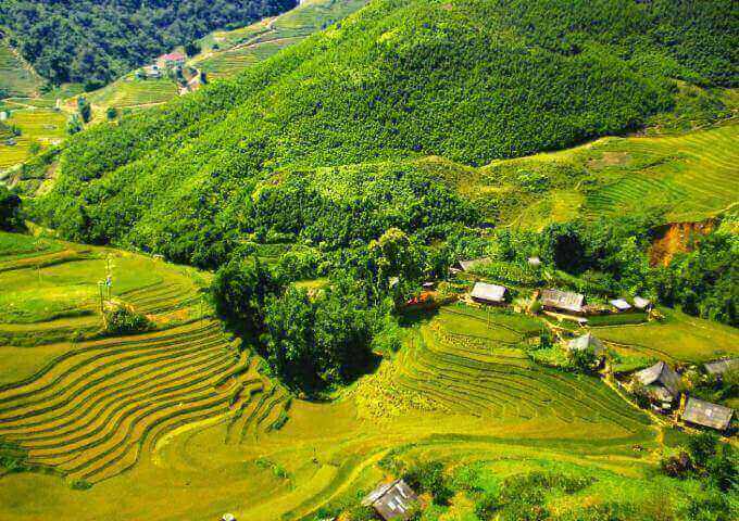 The gorgeous terraces in Sapa