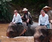 Elephant Riding in Elephant Village