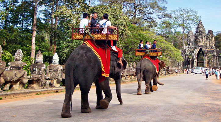 Cambodia Transportation: Elephant Riding in the Northeastern part of Cambodia