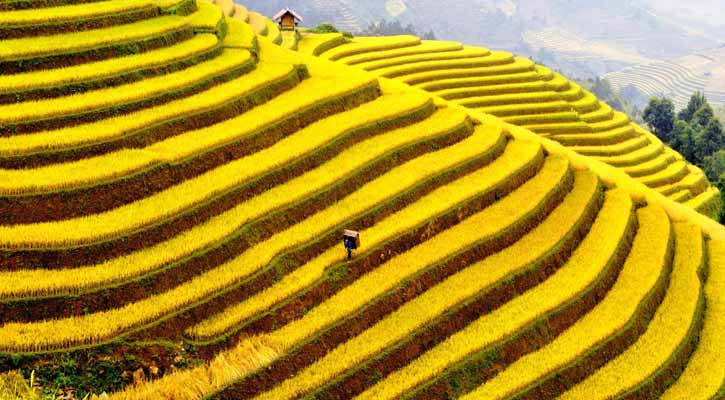 Top 10 Attractions To See Things To Do In Vietnam