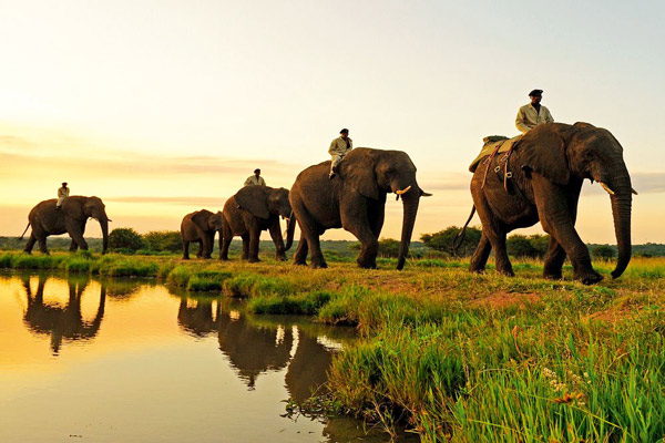 Mae Ta Marn Elephant