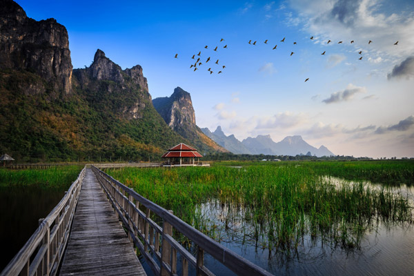 Thai National Park